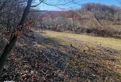 Spațiu comercial, în Pâncești - 16