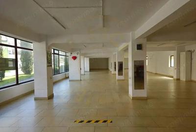 Spațiu comercial, de 380 mp, în Curtea de Argeș - 1