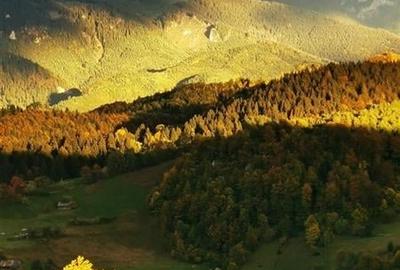7.000 mp, pozitie spectaculoasa, fara vecini, Fundatica, Brasov