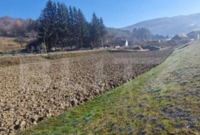 Teren extravilan - Sita Buzaului -6800 mp posibilitate trece - 3