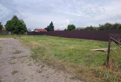 Teren Construcții intravilan de 3672 mp, în Nord-Est - 4