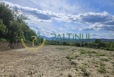 Teren agricol extravilan de 3000 mp, în Exterior Vest - 7