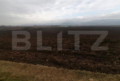 Teren extravilan 21300 mp zona Vintu de Jos - 2