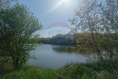Vanzare Teren Constructii Langa Lac si Padure | Branesti | Ocazie! - 2