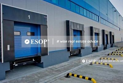 Spațiu industrial, de 4,500 mp, în Remetea Mare - 3