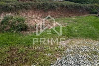 Teren de 3000 mp, în Șard - 3