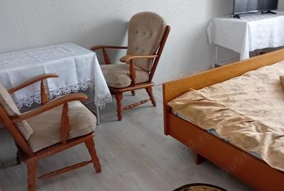 Casă cu 6 camere cu Teren 565 Mp în Ișalnița - 1