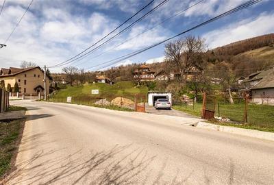 FILM! Pe 6.500mp teren + casa parinteasca, incantatoare pozitionare, acces facil - 13