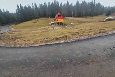 Vand casa de vacanta in apuseni Dealu Frumos Garda - 3