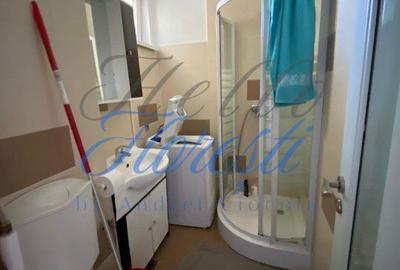 Apartament cu 3 camere decomandat în Plopilor - 3