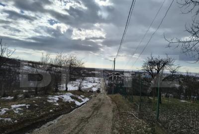 Teren în Păulești - 7