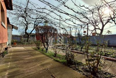 Casa Spatioasa cu Teren Generos in Vladimirescu - 27