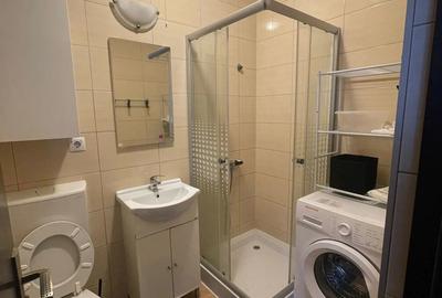 Garsoniera + mansarda - 1