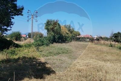 Teren agricol intravilan de 1035 mp, în Nord - 10