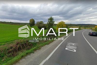 Teren extravilan 42000MP Seica Mare - Sibiu