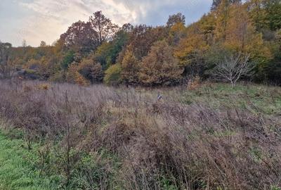 Teren de 1717 mp, în Mărgineni - 3