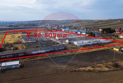 Teren Construcții intravilan de 39600 mp, în Traian - 1