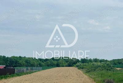 Teren de 5238 mp, în Dănești - 3