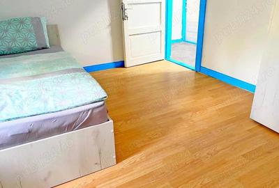 Casă cu 6 camere în Buziașului - 19