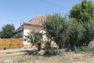 Casă cu 2 camere cu Teren 1511 Mp în Central - 5