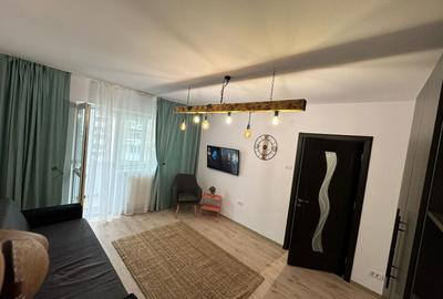 Garsonieră semidecomandată în Precista - 1