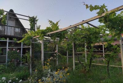 Casă cu 2 camere în Tuzla - 1