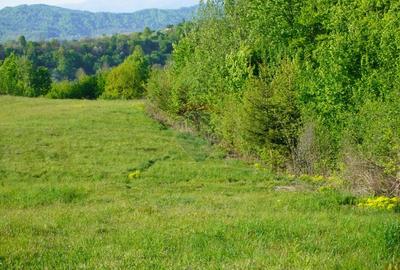 Teren Construcții intravilan de 38592 mp, în Sud-Vest - 26