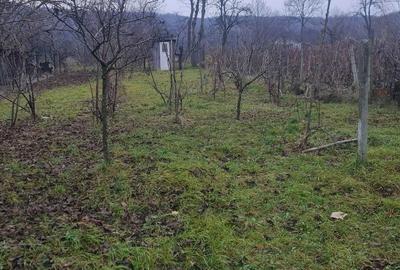 Casă cu 2 camere în Hilița - 4