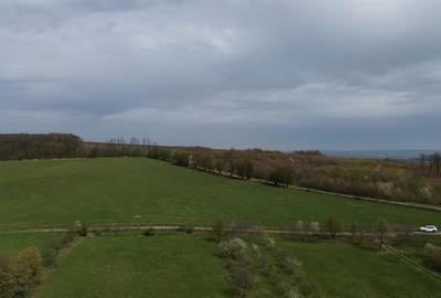 Teren intravilan 5800 mp Mitocasi - Suceava! Teren intravilan 5800 mp Mitocasi - Suceava! - 14