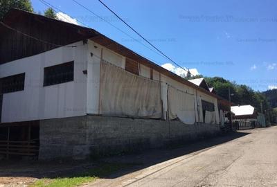 Casa P+E + atelier si anexe, Sadova, jud Suceava - 3