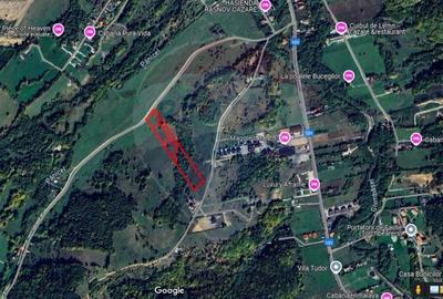 Comision 0! Teren Rasnov- Strada Valea Panicelului, 2263mp - 7