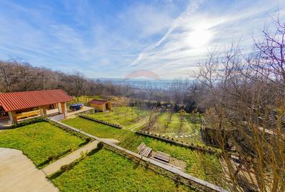 VILA DE VIS CU TEREN GENEROS, DE VANZARE - 47