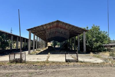 Ferma de vanzare  in Simeria - 2