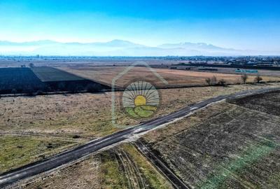 TEREN STUPINI-COMISION 0 - 7