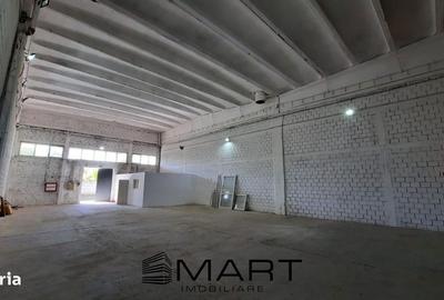 Spațiu comercial, de 800 mp, în Turnișor - 2
