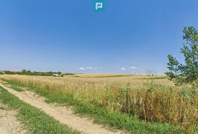 Teren intravilan + extravilan in Remetea Mica - 8