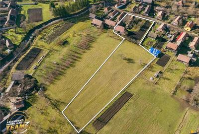 FILM! Casa si anexe, pe domeniu de 6.221mp, livada pomi fructiferi, Lemnia, Covasna - 7