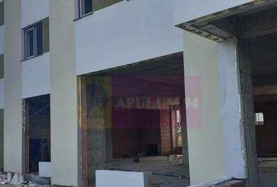 Spațiu comercial, de 330 mp, în Chiajna