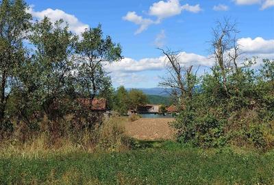 Teren intravilan pentru casa sau vacanta, Lunca, Baia de Cris Teren intravilan pentru casa sau vacanta, Lunca, Baia de Cris - 5