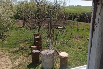Teren de 700 mp, în Băcălești - 3