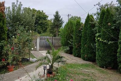 Casă cu 4 camere cu Teren 836 Mp în Ghighiu - 8