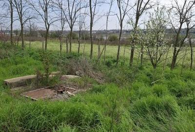 Teren Construcții intravilan de 2500 mp, în Tuzla - 6