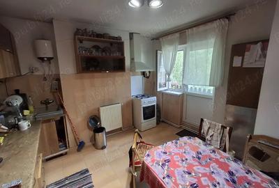 Vand apartament 3 camere in Baile Herculane,garaj si boxa - 6