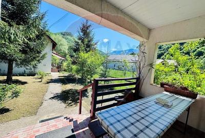 Pensiune + Vila pe malul raului Lotru-Malaia,Valcea - 24