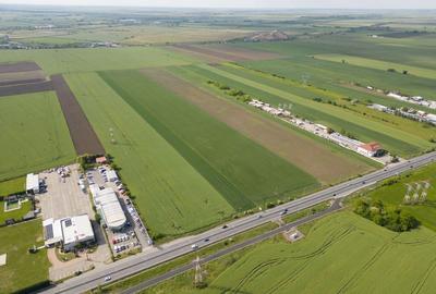 Teren 16.575 mp Arad / Soseaua DN79 - 2