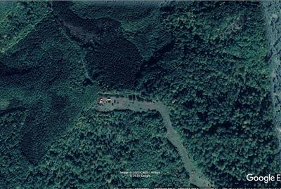 Teren extravilan de 45809 mp, în Mădrigești - 2