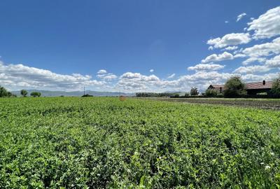 Teren intravilan Zona Metropolitana Brasov - 3