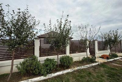 Casa pe parter Clinceni , str Ortansei , teren 640 mp. - 15