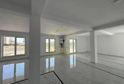 SAD 50-100mp VAD comercial | Dumbravita - 4