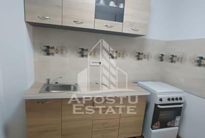 Apartament, 2 camere, decomandat, petfriendly, zona Lipovei - 7